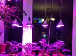 Найбільш освітлений район: де у Києві є інтернет та електрика під час віялових відключень