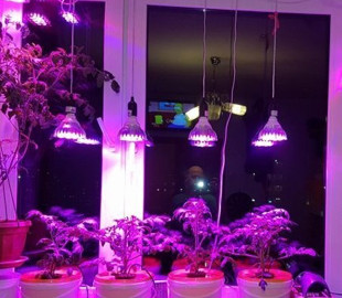 Найбільш освітлений район: де у Києві є інтернет та електрика під час віялових відключень