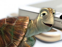 Провайдеры рассказали, кто тормозит развитие Интернета в стране