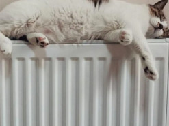 Готуємося до холодів: як зробити так, щоб батареї віддавали більше тепла