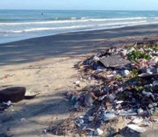 Человечеству грозит неизбежный пластиковый кризис