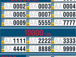 Новый законопроект: водители смогут выбирать и бронировать номера через электронный кабинет