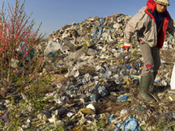 Украинцы запустили приложение для очищения карпатских гор