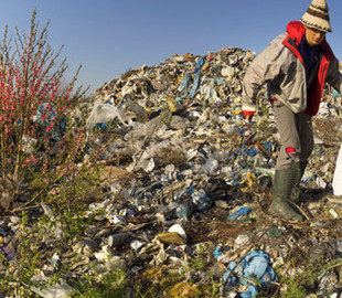 Украинцы запустили приложение для очищения карпатских гор