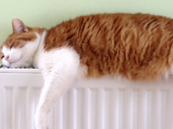 Понад 90% житлових будинків у столиці готові до опалювального сезону – КМДА