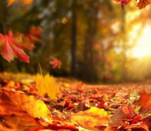 З морозами та снігом: народний синоптик дав прогноз на останній місяць осені