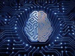 Google научила нейросеть превращать веб-страницы в видео