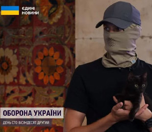 Врятований кіт з острова Зміїний - на подвійному пайку і демонструє бойовий характер