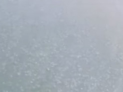 Дрон показал полчище медуз на Азовском море