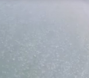 Дрон показал полчище медуз на Азовском море