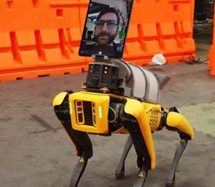 Четвероногий робот от Boston Dynamics помогает врачам уберечься от коронавируса