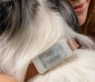 Український стартап Petcube випустив розумний GPS-трекер для улюбленців