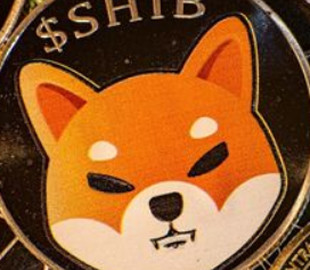 В интернете устроили вечеринку в честь уничтожения 1 млрд токенов криптовалюты