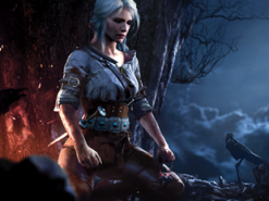 «Ведьмак» ещё вернётся — у CD Projekt RED есть планы на франшизу