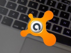 У пользователей Avast появились проблемы с интернетом