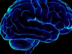 Нейробиологи обучили нейросеть переводить сигналы мозга в членораздельную речь