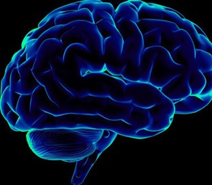 Нейробиологи обучили нейросеть переводить сигналы мозга в членораздельную речь