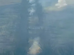 "Горят так, что роща шумит": в ВСУ показали уничтожение вражеских танков