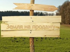 Новый модуль от ФГИ парализовал рынок земли в Украине