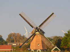 Нидерланды вводят мораторий на строительство сверхкрупных дата-центров