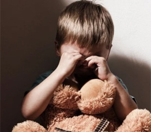 Блогеры похитили мальчика под Запорожьем - дело пытаются замять