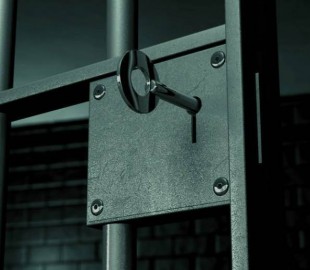 Украинец получил пять лет тюрьмы за мошенничество в Интернете