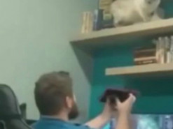 Кот устроил погром на книжных полках хозяина