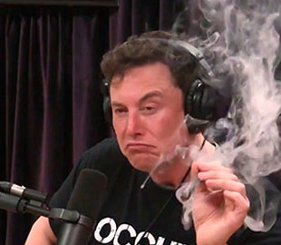 Аппетит Илона Маска к биткоину хотят ограничить