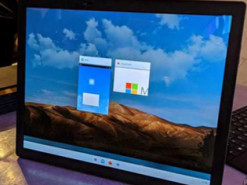 Microsoft разрабатывает новую функцию копирования контента