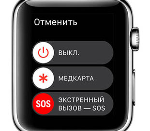 Apple Watch сохранили жизнь двум мужчинам в море