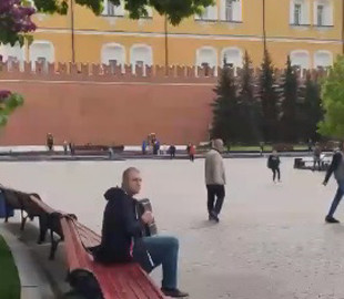 Біля кремля пролунала "Ой, у лузі червона калина"