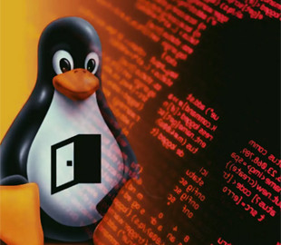 Усього за півроку кількість вірусів під Linux збільшилася більш ніж у 6 разів