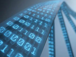 Создана технология записи и надежного хранения цифровой информации в живую ДНК