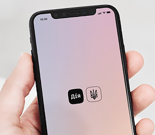 На портале Дія появился сервис помощи украинцам в Польше: как он работает