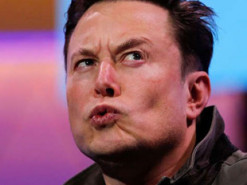 Ілон Маск за останній тиждень став багатшим на $14 млрд