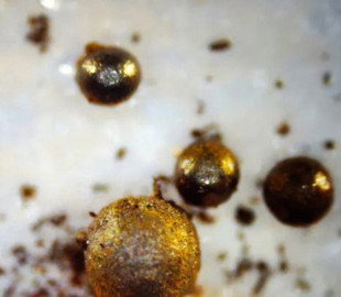 Виловлені в Тихому океані міжзоряні кульки виявилися земними відходами важкої промисловості