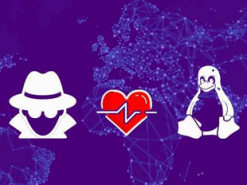 Зафиксирован растущий интерес злоумышленников к Linux-системам