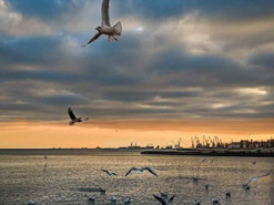 Маріуполь, якого нема: у мережі поширюють довоєнні роботи загиблого фотографа