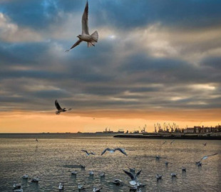 Маріуполь, якого нема: у мережі поширюють довоєнні роботи загиблого фотографа