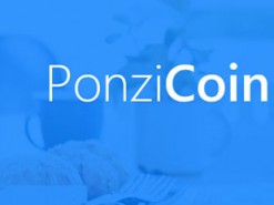 Самая честная криптовалюта в мире просуществовала 8 часов