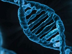 Компьютерная модель предскажет структуру ДНК