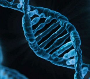 Компьютерная модель предскажет структуру ДНК