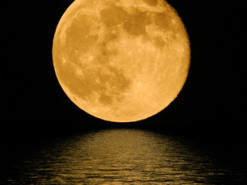 Компьютерное моделирование показало, как могла образоваться Луна