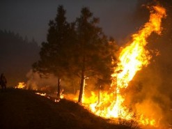 Интернет-видеосеть "накроет" пожаропасную Калифорнию