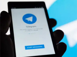 Украинцы смогут сообщить МВД о фальсификациях на выборах в Telegram