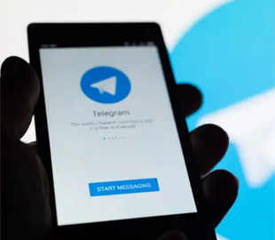 Украинцы смогут сообщить МВД о фальсификациях на выборах в Telegram