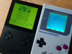 Популярную игру Wordle запустили на Game Boy