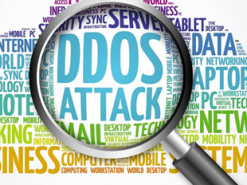 Обнаружена одна из самых мощных ботнет-сетей в мире