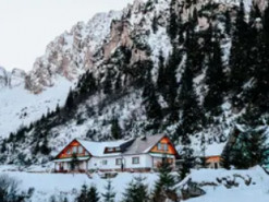 Мошенники обворовывают украинцев на сдаче жилья в аренду: как защититься