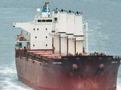 Одеські прикордонники викрили схему росіян щодо вивезення викраденого українського зерна